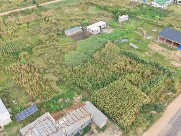 Commercial & Industrial Land