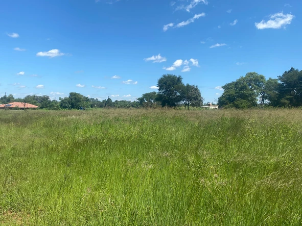 Stands & Residential Land