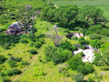 Farm & Agricultural Land