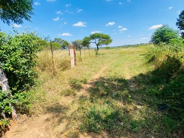 Farm & Agricultural Land