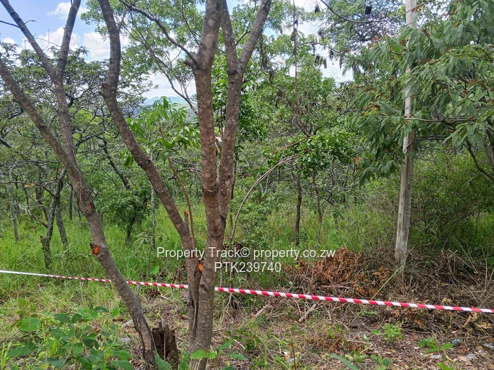 Excellently Positioned!