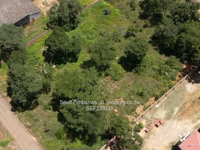 Borrowdale Carrick Creagh stands for sale