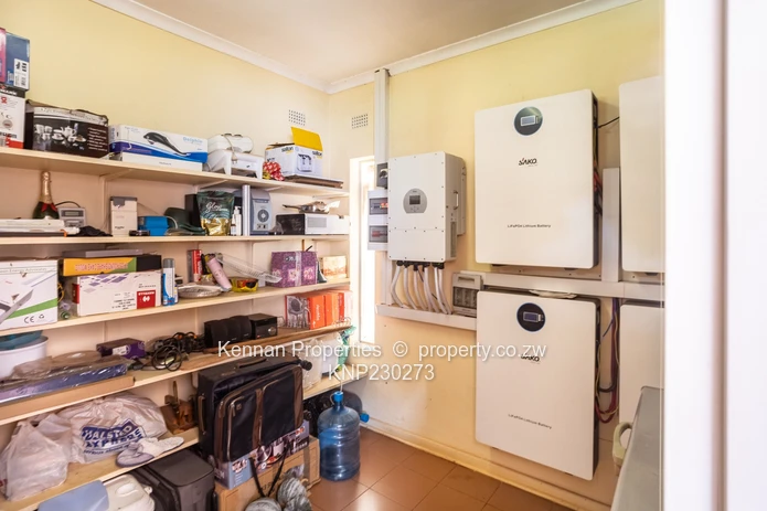 Potential On Arcturus Road - Nostro!