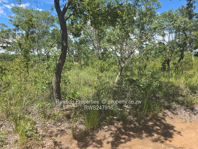 6.7ha Bindura Farm - In Mashonaland Central Province!!