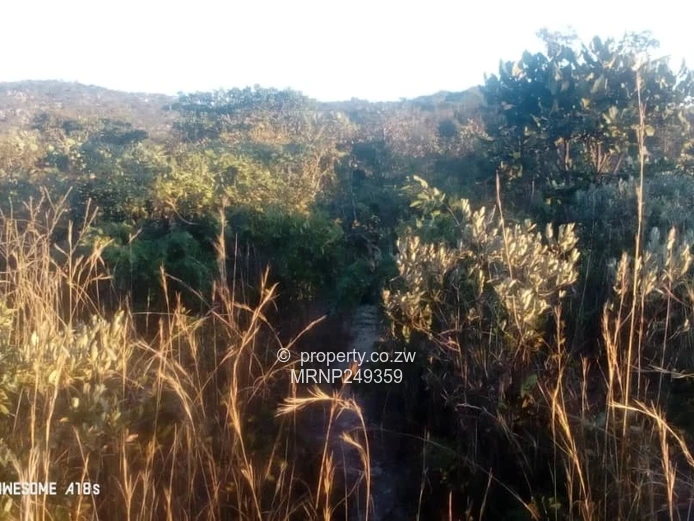 Headlands Eagle Nest Plot for sale (Sole Mandate)
