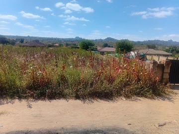 Land