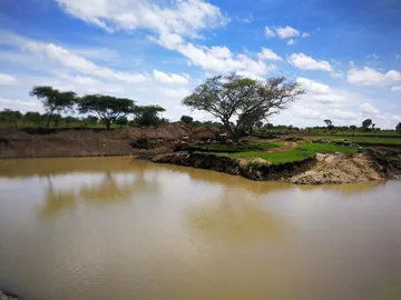Farm & Agricultural Land