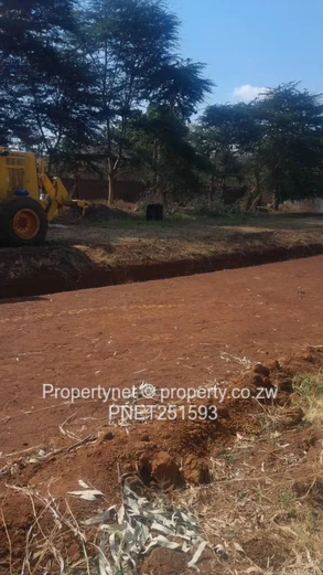 Ready To Built Next To Nyeredzi Tall Trees