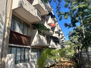 Flat & Apartment