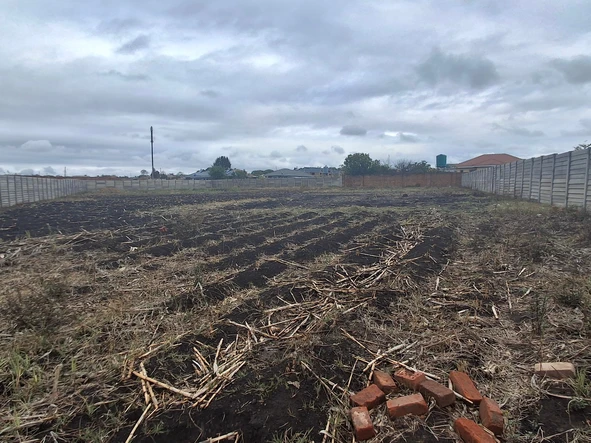 Stands & Residential Land