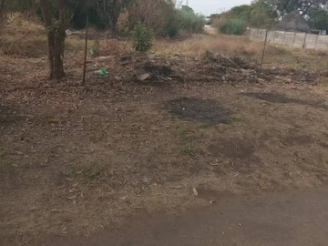 Commercial & Industrial Land