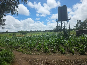Stands & Residential Land