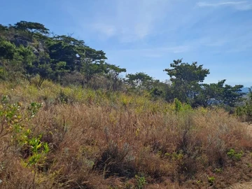 Nyanga Juliasdale 1ha plots for holiday homes. 20k , balance 8months