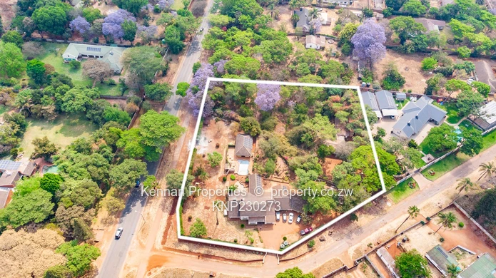 Potential On Arcturus Road - Nostro!