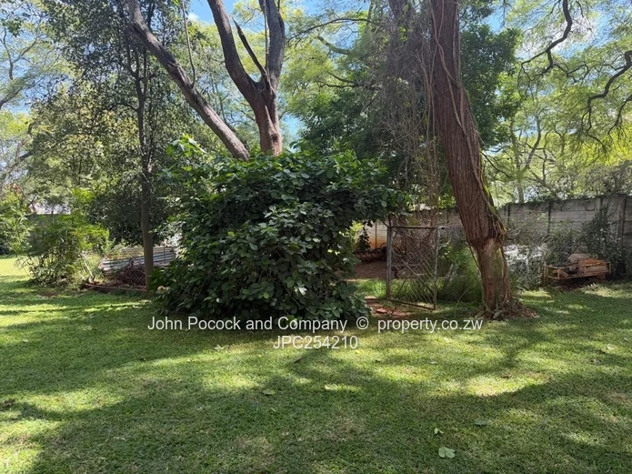 1-Bed Garden Flat In Suburbs