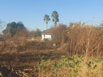 Land
