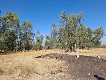 Farm & Agricultural Land