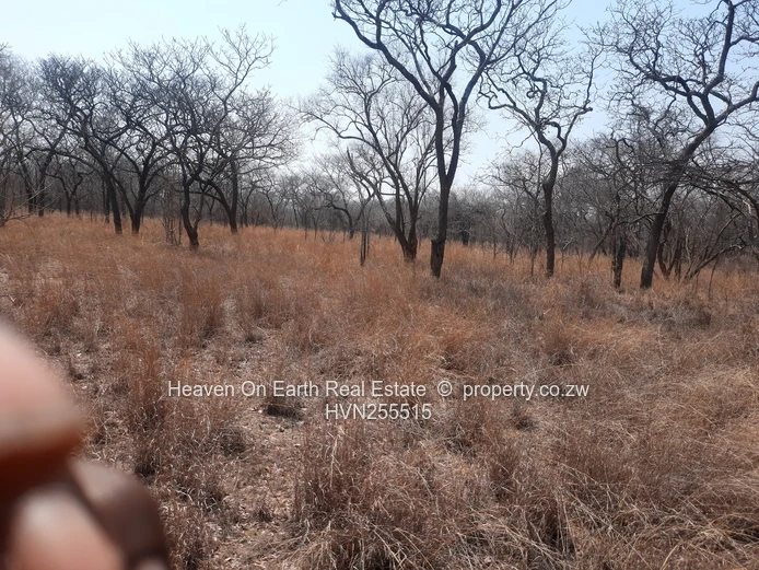 Plots For Sale