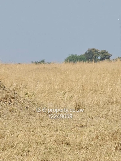 10 Hectares Prime Arable Land for Sale – Nyabira 