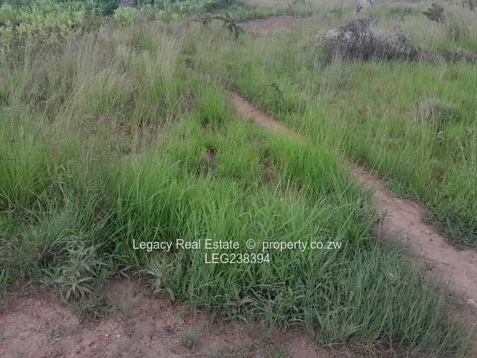 Residential Stand for Sale – Adelaide Park, Gweru