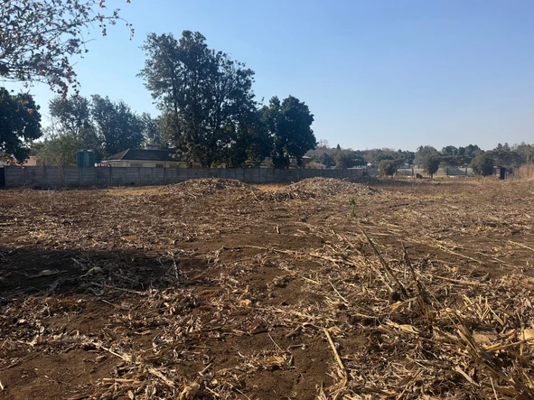 Stands & Residential Land