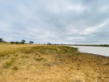 Farm & Agricultural Land