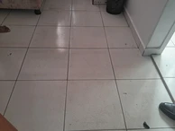 Flat & Apartment