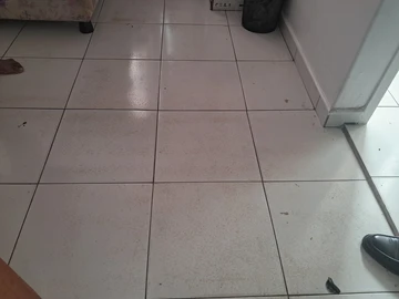 Flat & Apartment
