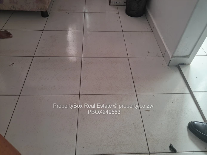 Bachelor's Flat for sale in the Avenues, Central Avenue & 8th St!