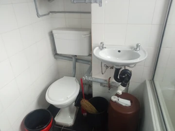 Flat & Apartment