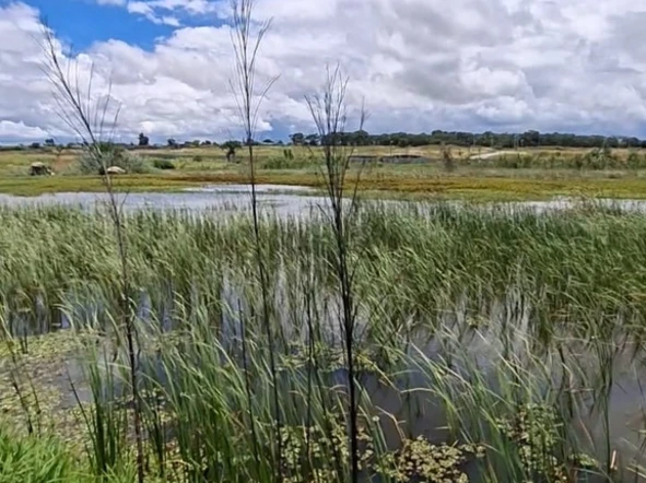 Farm & Agricultural Land