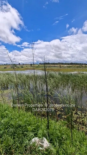 Waterfront Agricultural Land With Several Development Options 