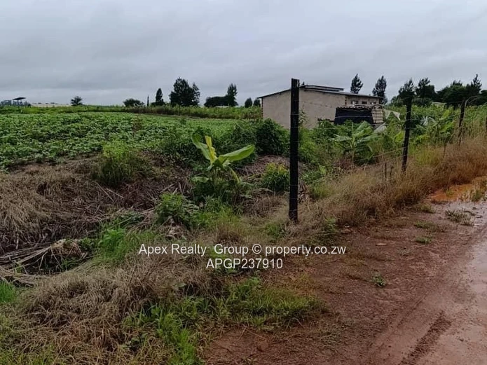 Rainham Plot for sale (Sole Mandate)