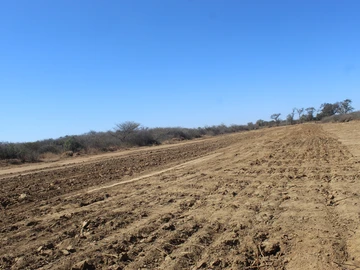 Farm & Agricultural Land