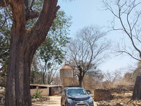 Farm & Agricultural Land