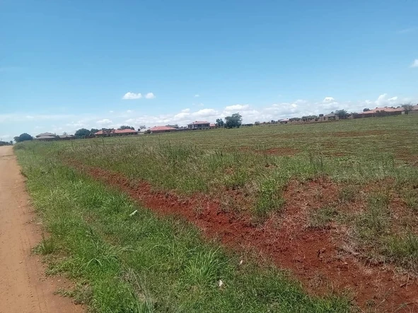 Stands & Residential Land