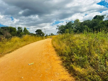 Farm & Agricultural Land