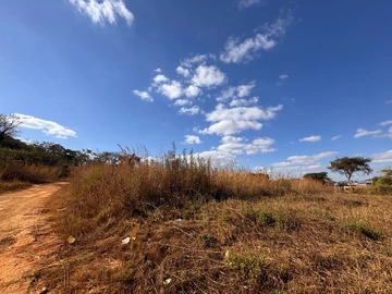 Farm & Agricultural Land