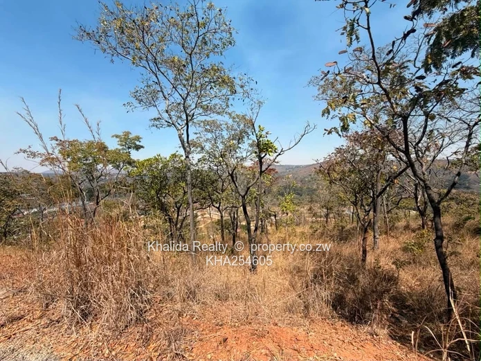 Carrick Creagh | Prime 10,000Sqm Residential Land