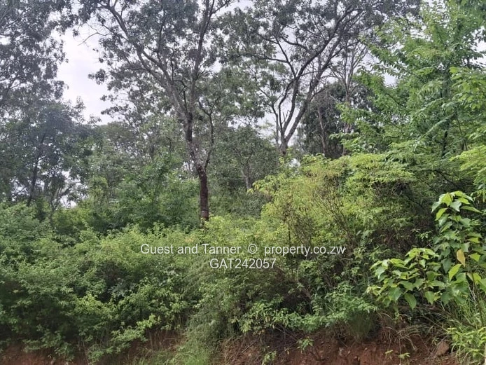 Prime Elevated Residential Stand for Sale in Helensvale – Gated Community