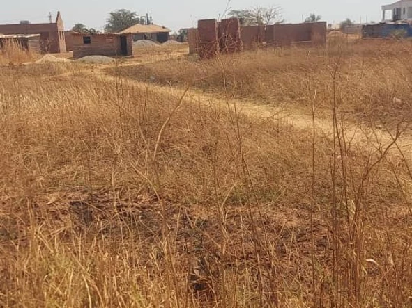 Stands & Residential Land