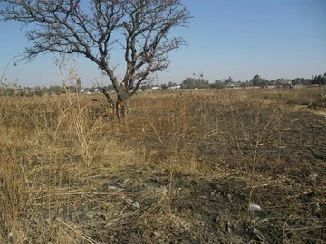 Commercial & Industrial Land