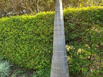 3 Bedroom Garden Flat