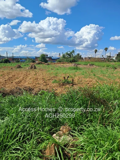 Southerton behind Gomo hospital 