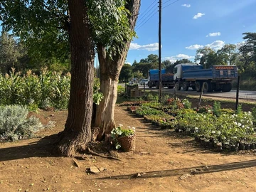 Farm & Agricultural Land