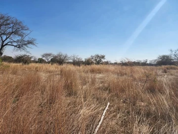 Farm & Agricultural Land