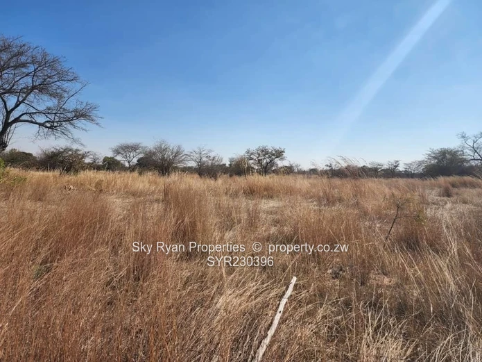 Dema Farm For Sale