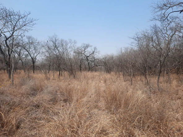 Farm & Agricultural Land