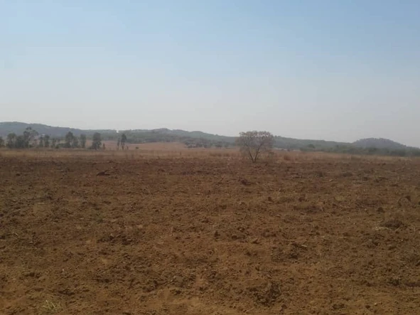 Farm & Agricultural Land