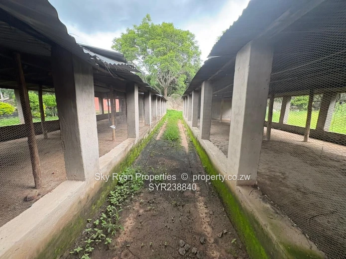 Arcturas Farm For Sale 